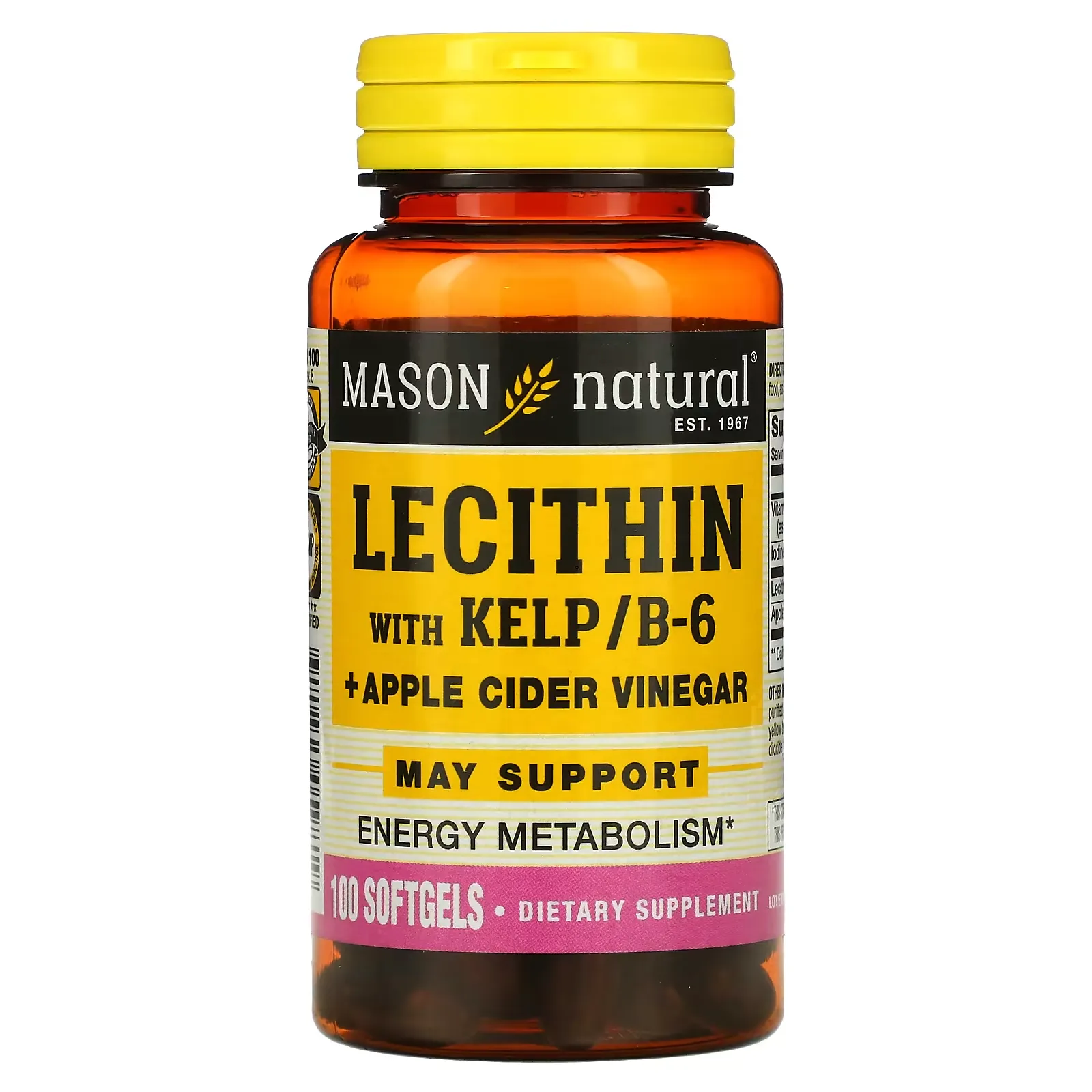 Lecithin with Kelp/B6 Plus Apple Cider Vinegar, 100 Softgels