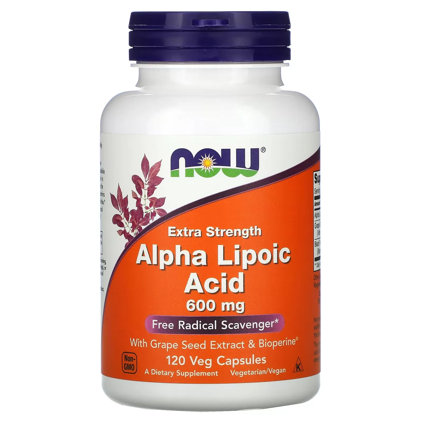 Alpha Lipoic Acid, Extra Strength, 600 mg, 120 Veg Capsules