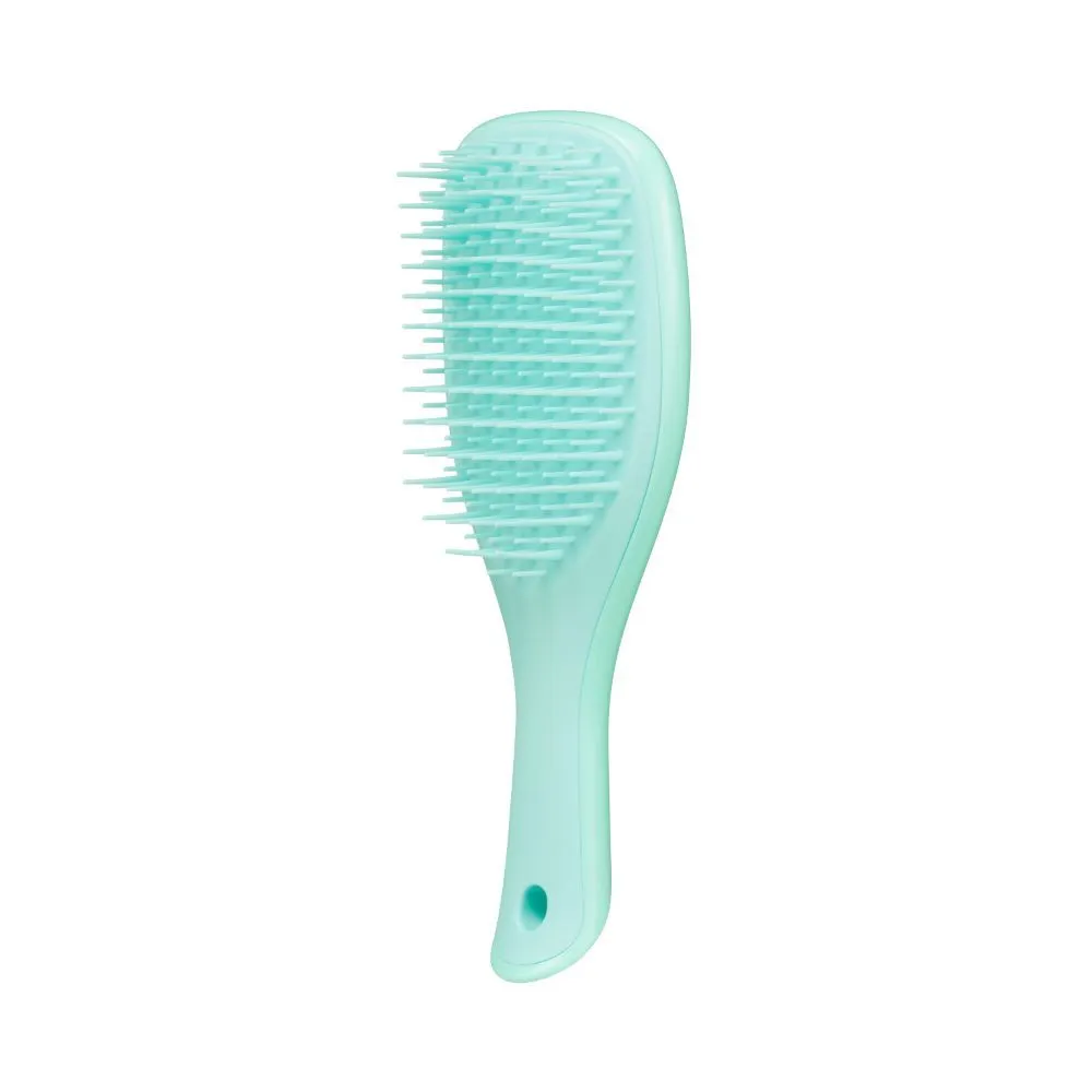 Tangle Teezer Wet Detangler Mini Sea Green Hair Brush