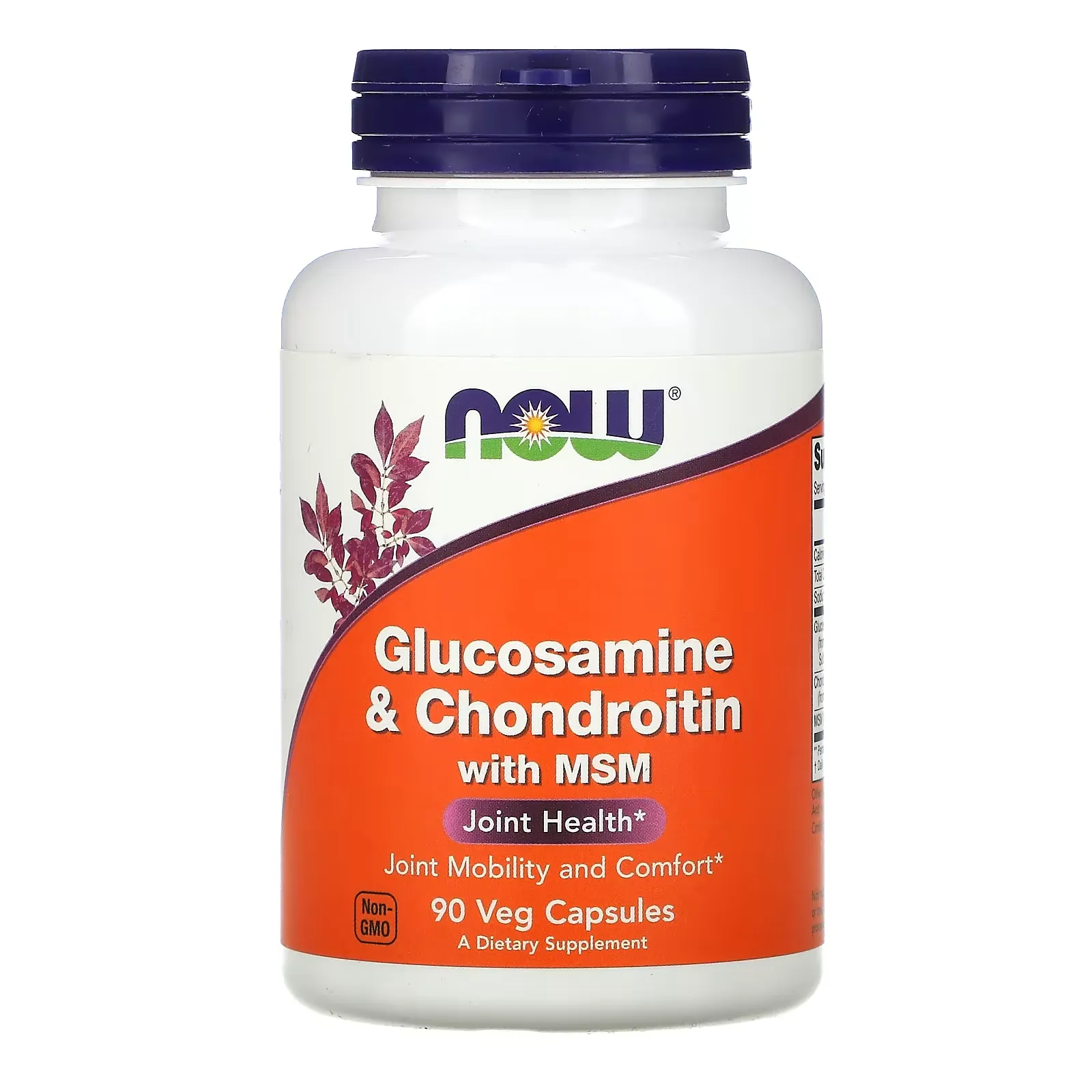 Glucosamine & Chondroitin with MSM, 90 Capsules