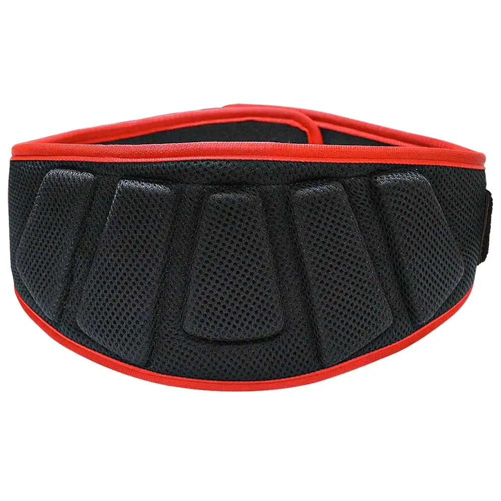 MuscleXP Gym Nylon Padded Weightlifting Belt,  Black  Medium