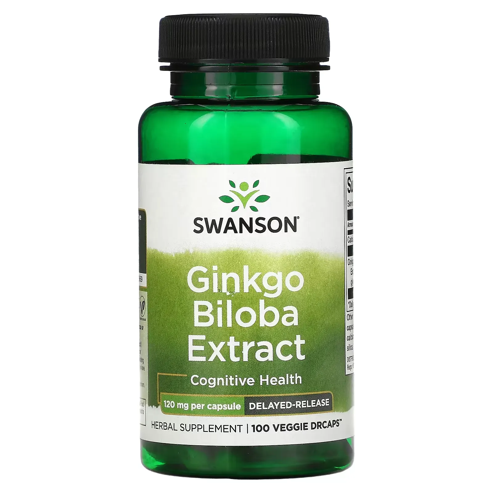 Ginkgo Biloba Extract, 120 mg, 100 Veggie DRcaps