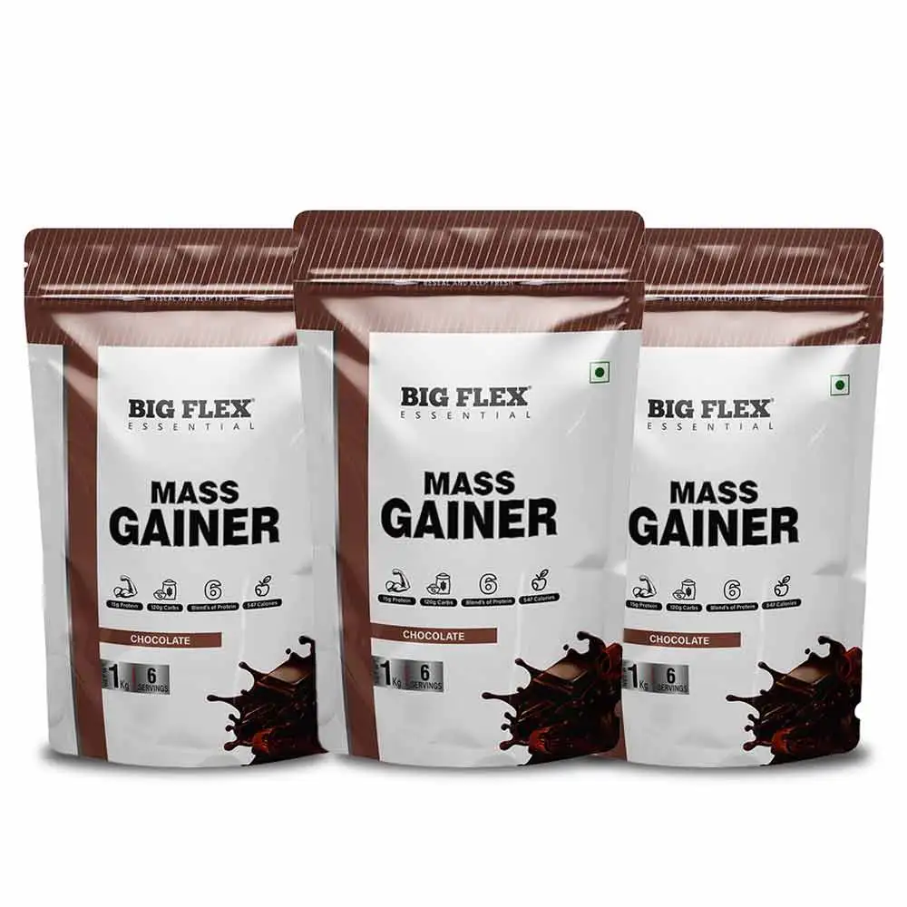 Big Flex Essential Mass Gainer,  2.2 lb  Chocolate Pack of 3