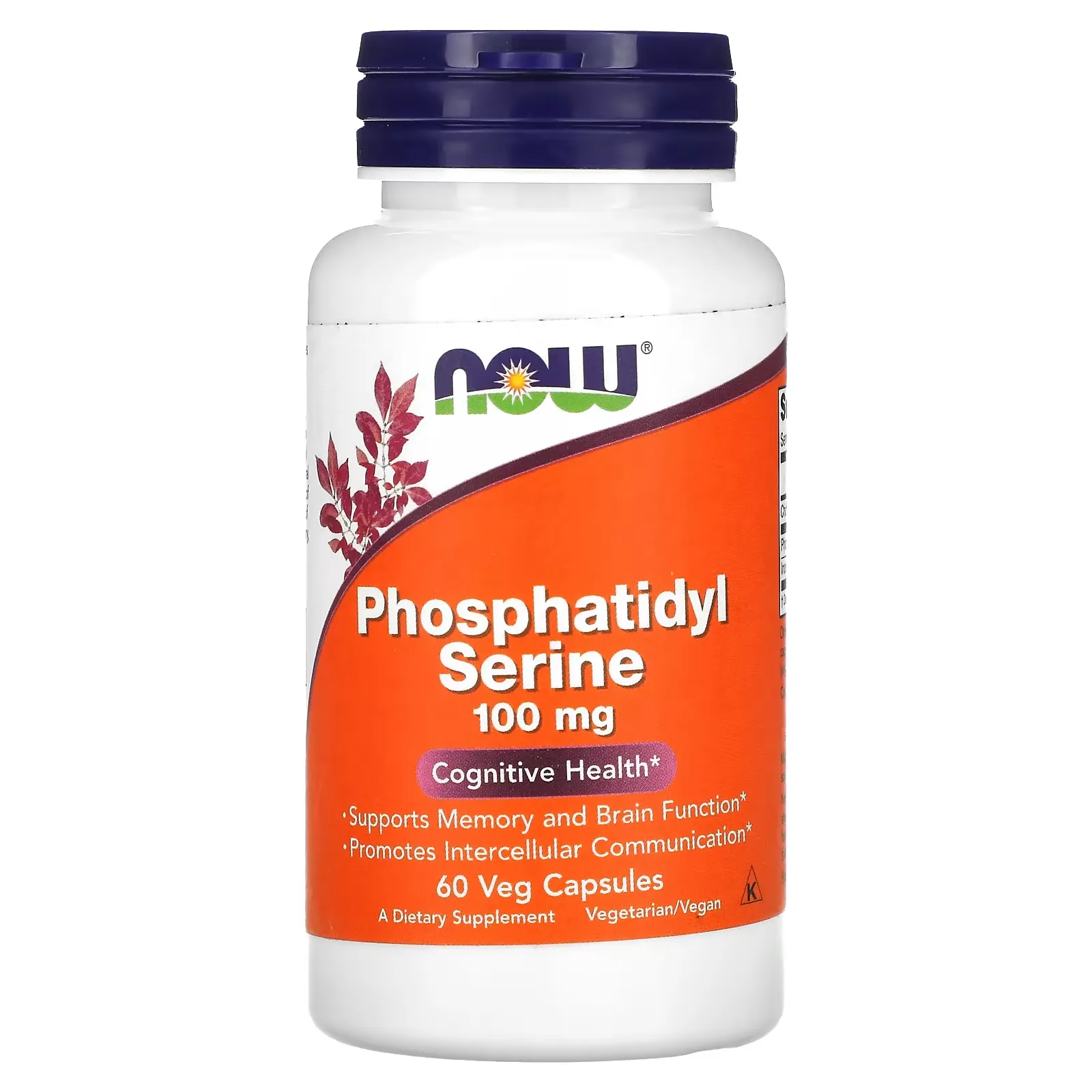 Phosphatidyl Serine, 100 mg, 60 Veg Capsules