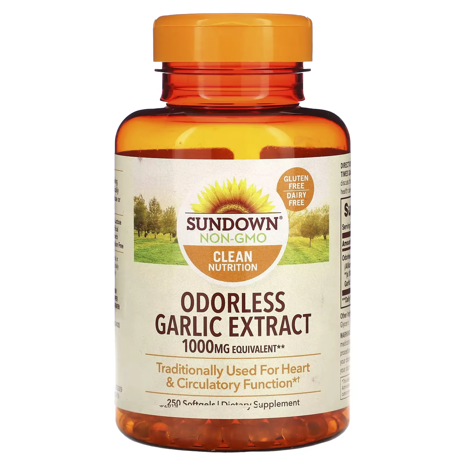 Odorless Garlic Extract, 1,000 mg, 250 Softgels