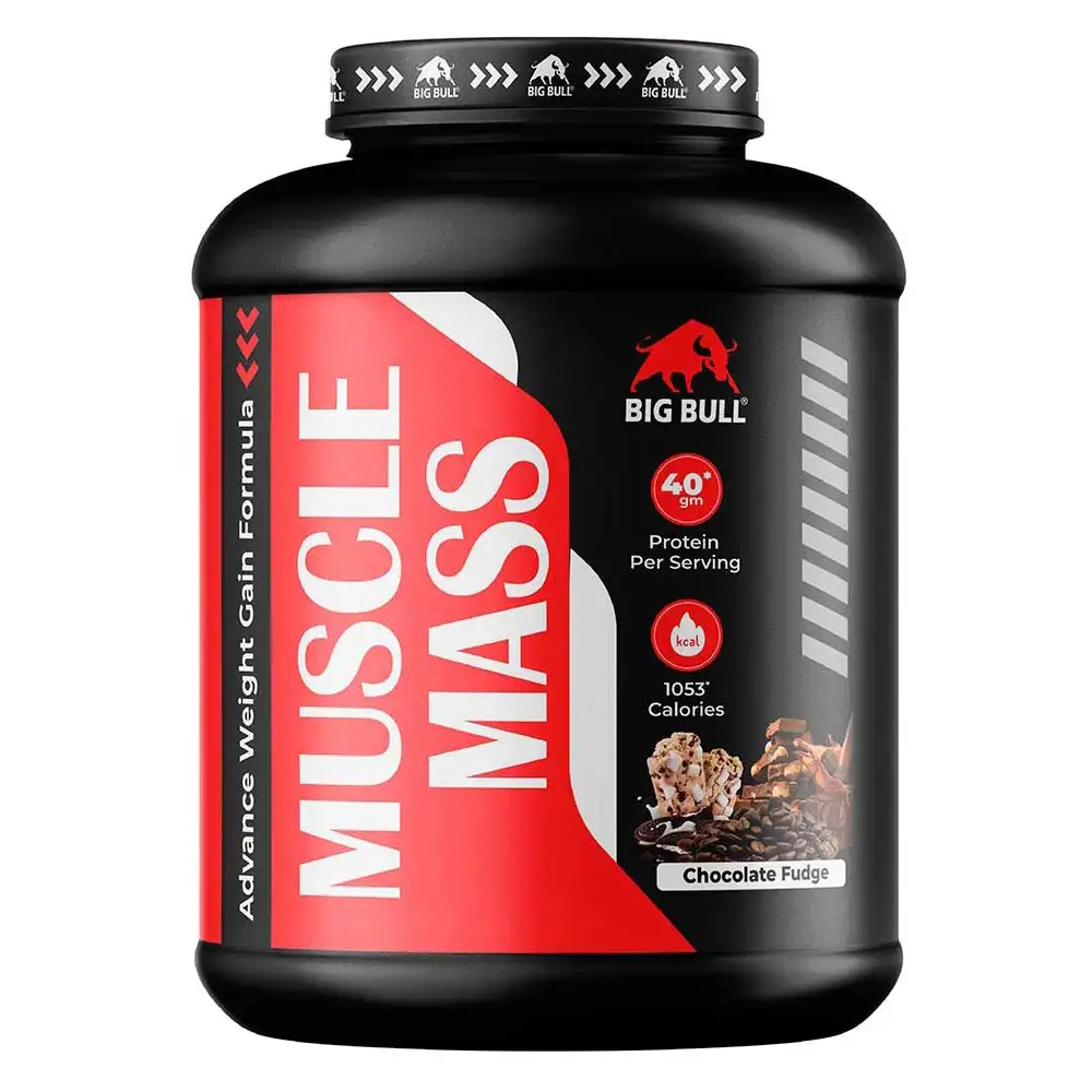 Big Bull Muscle Mass,  6.6 lb  Chocolate Fudge