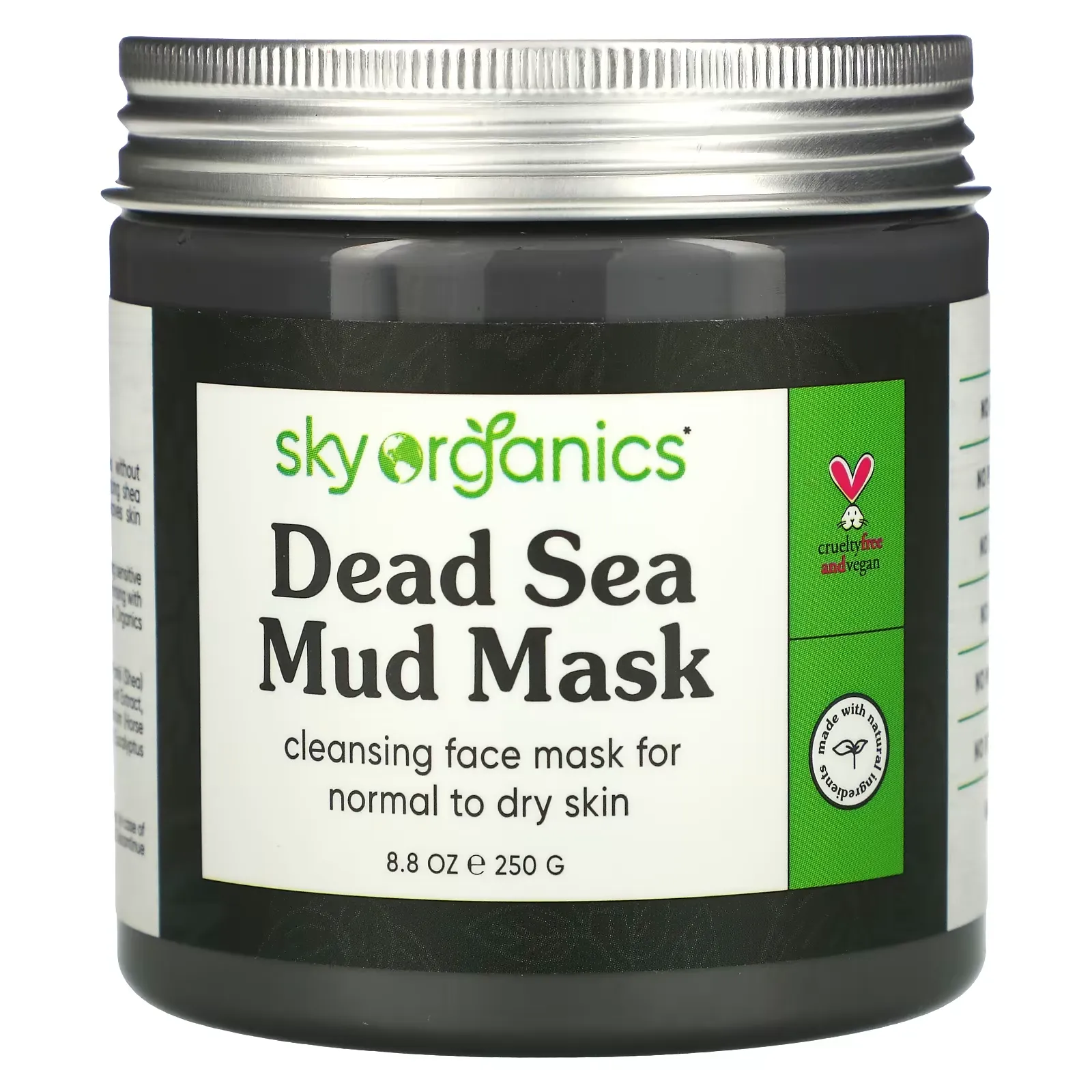 Dead Sea Mud Beauty Mask, 8.8 fl oz (250 g)