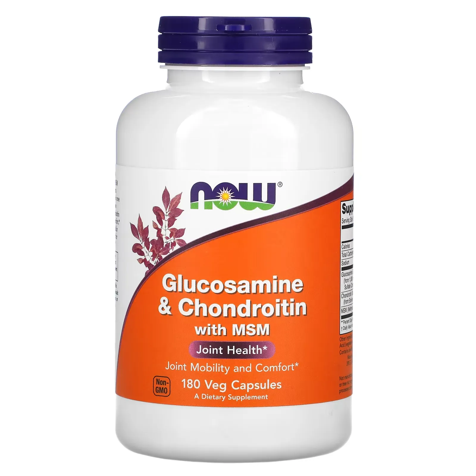 Glucosamine & Chondroitin with MSM, 180 Veg Capsules