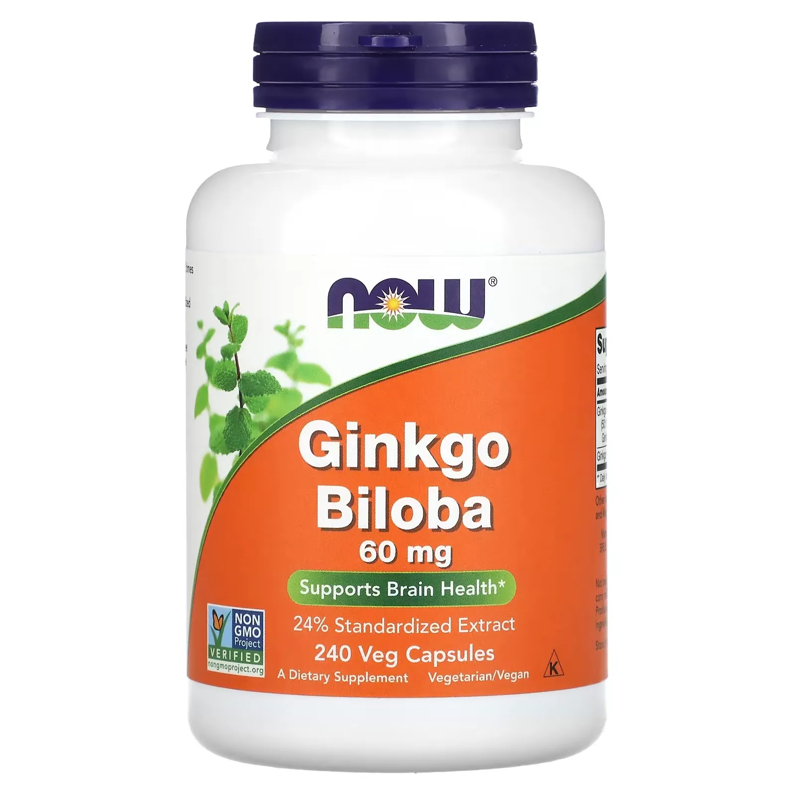 Ginkgo Biloba, 60 mg, 240 Veg Capsules