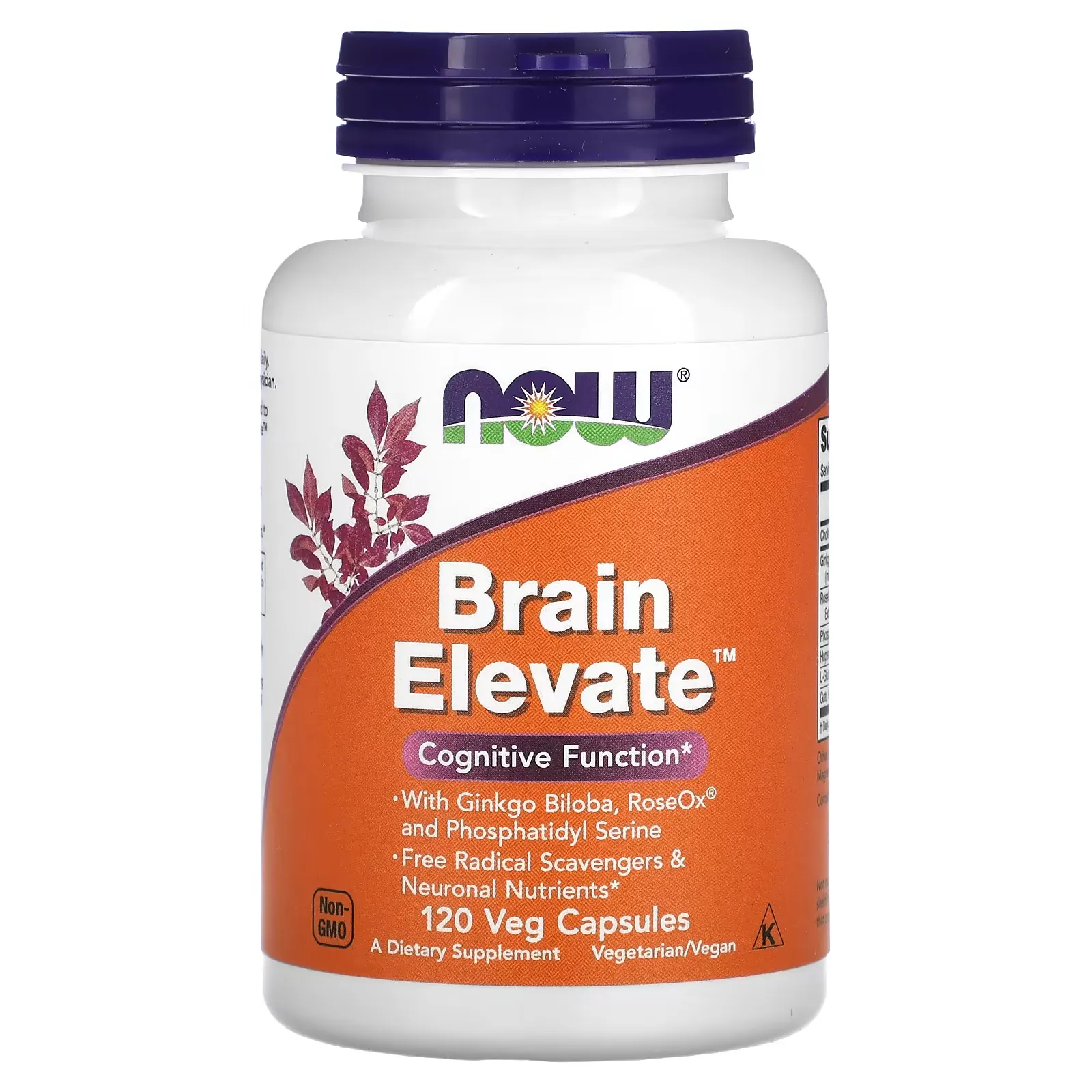 Brain Elevate, 120 Veg Capsules