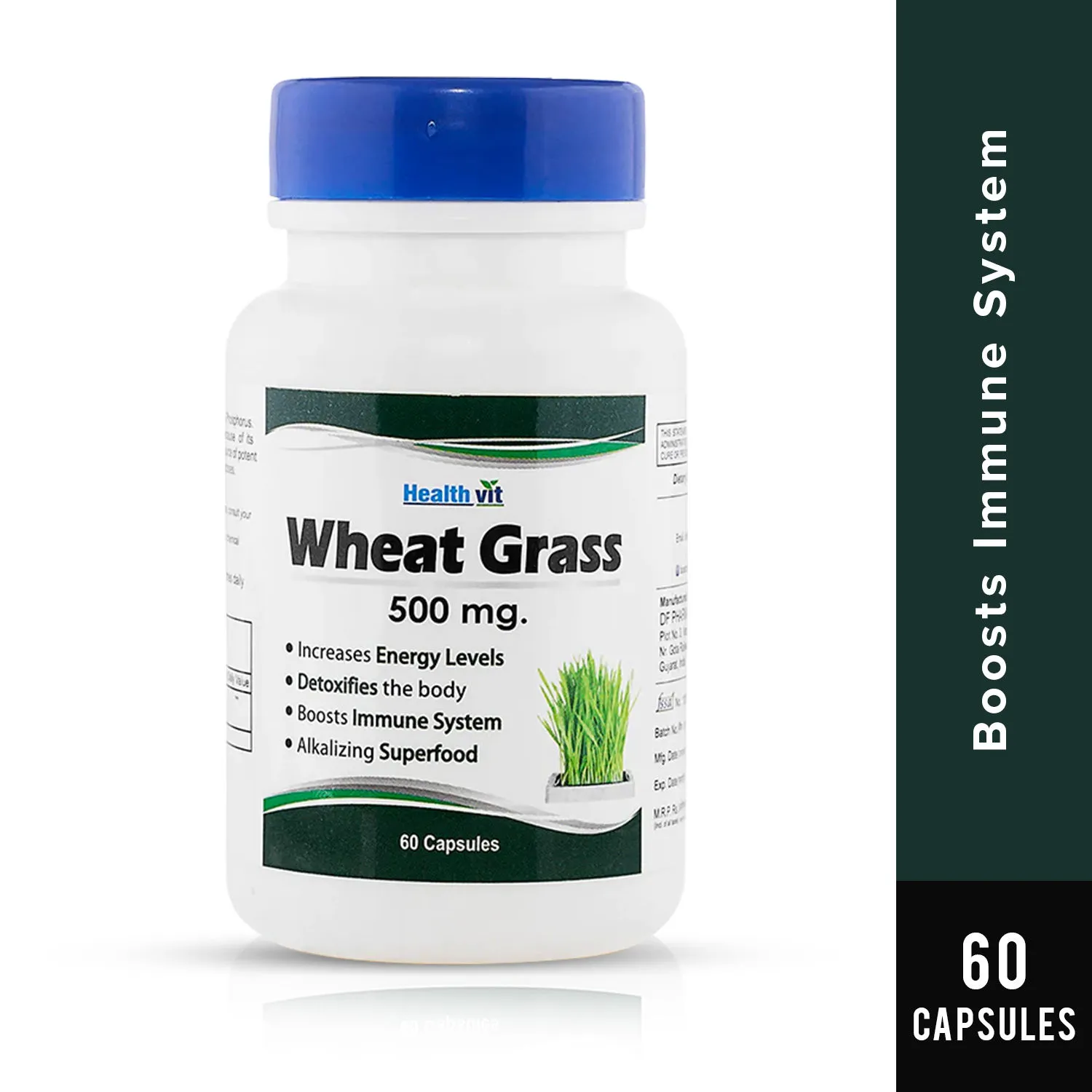 HealthVit 100% Pure Wheat Grass 500 Mg 60 Capsules