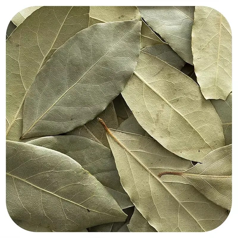 Organic Whole Bay Leaf, 16 oz (453 g)