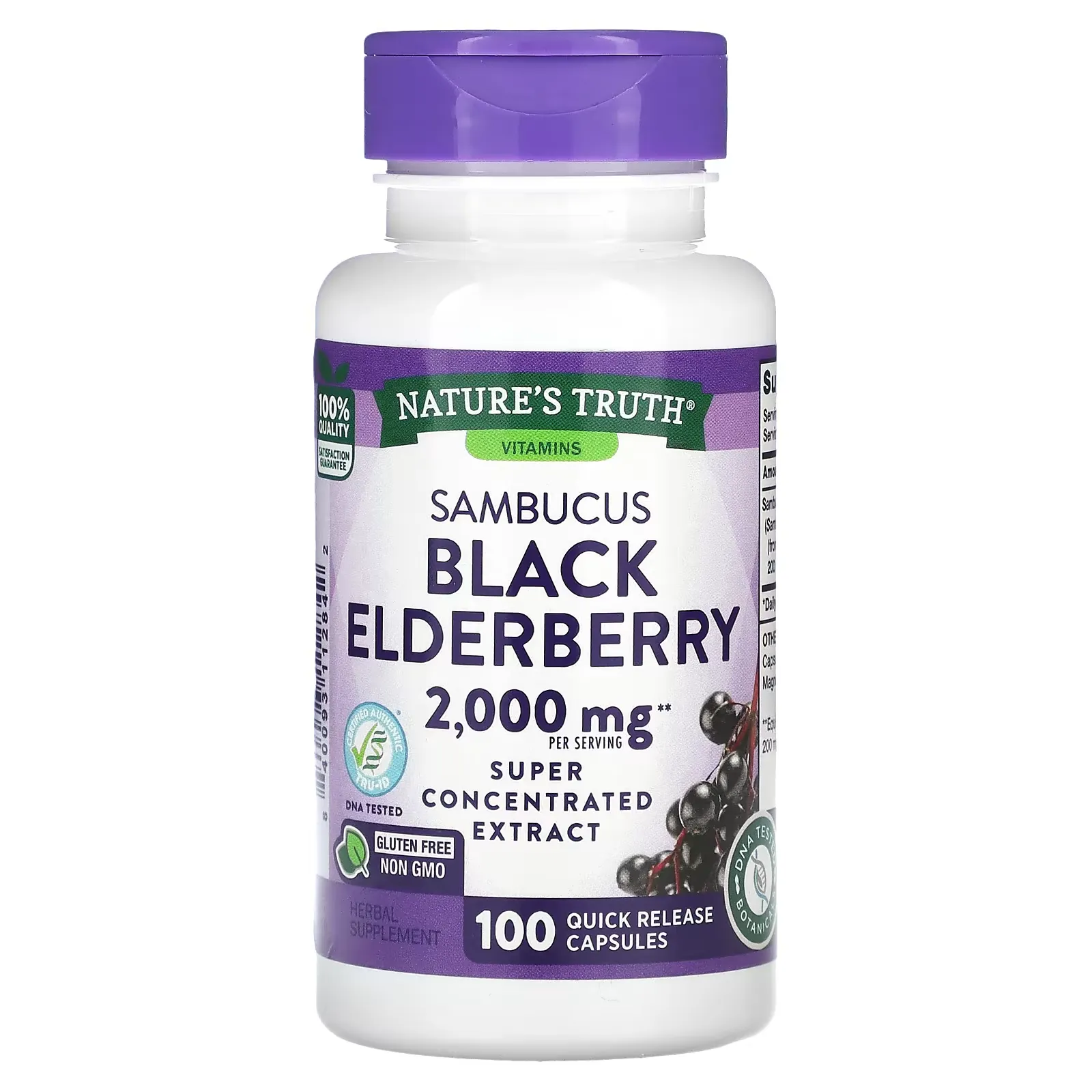 Sambucus Black Elderberry, 1,000 mg, 100 Quick Release Capsules