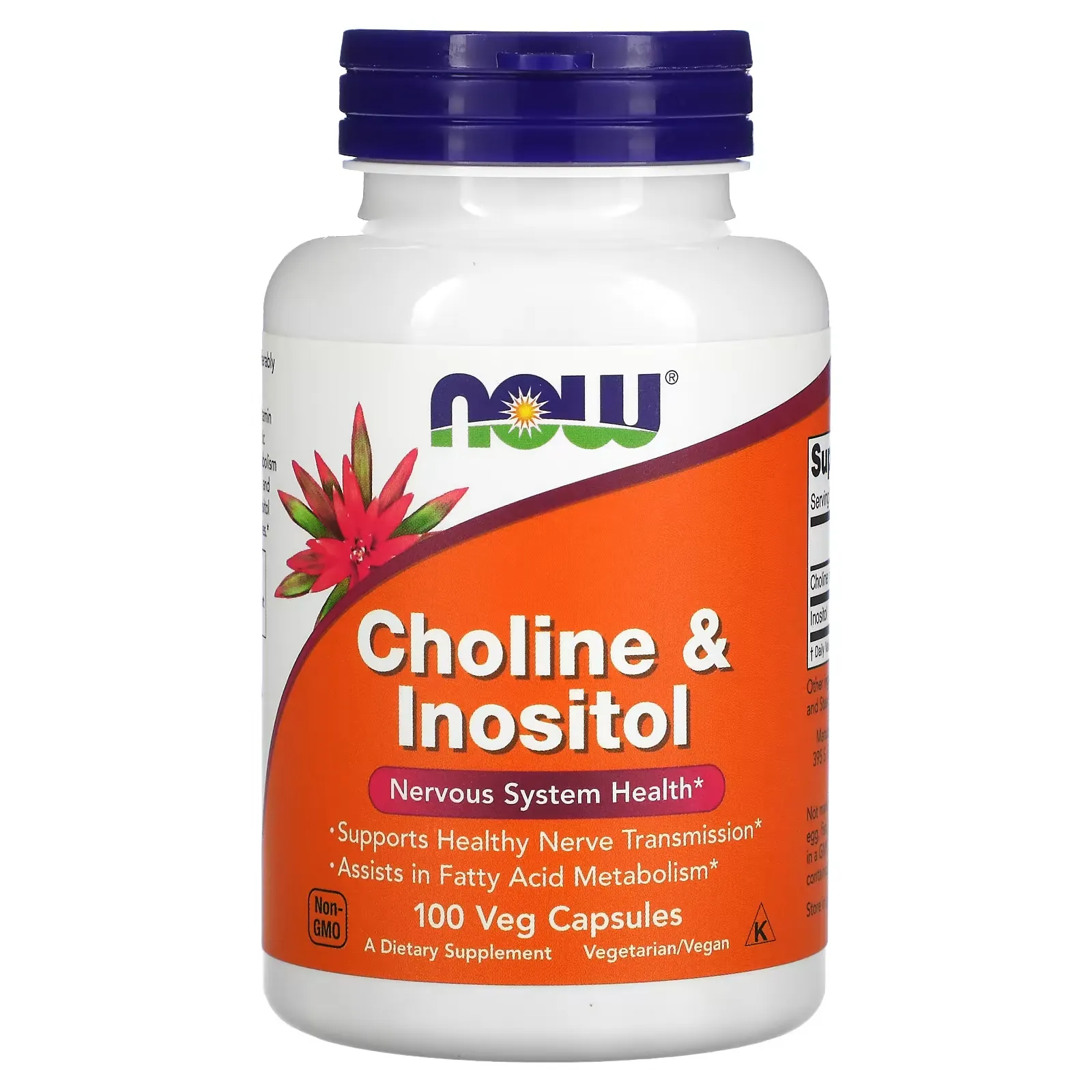 Choline & Inositol, 100 Veg Capsules