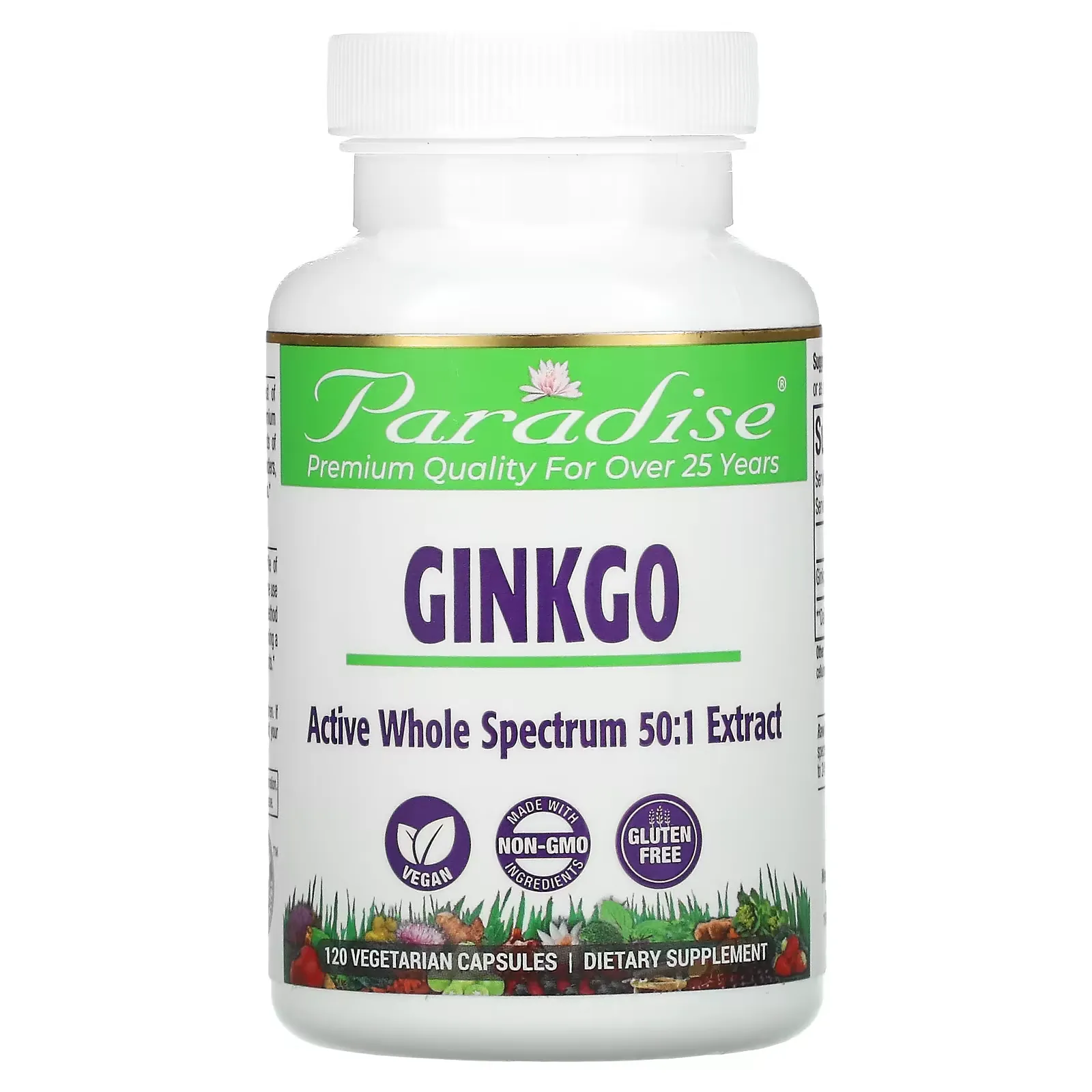 Ginkgo Biloba, 120 Vegetarian Capsules