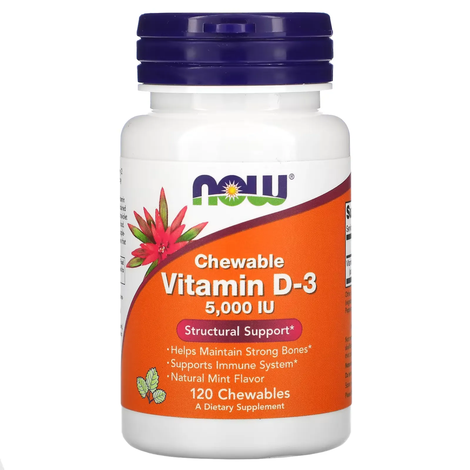 Chewable Vitamin D-3, Natural Mint, 5,000 IU, 120 Chewables