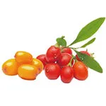 Gojiberry & Sea Buckthorn