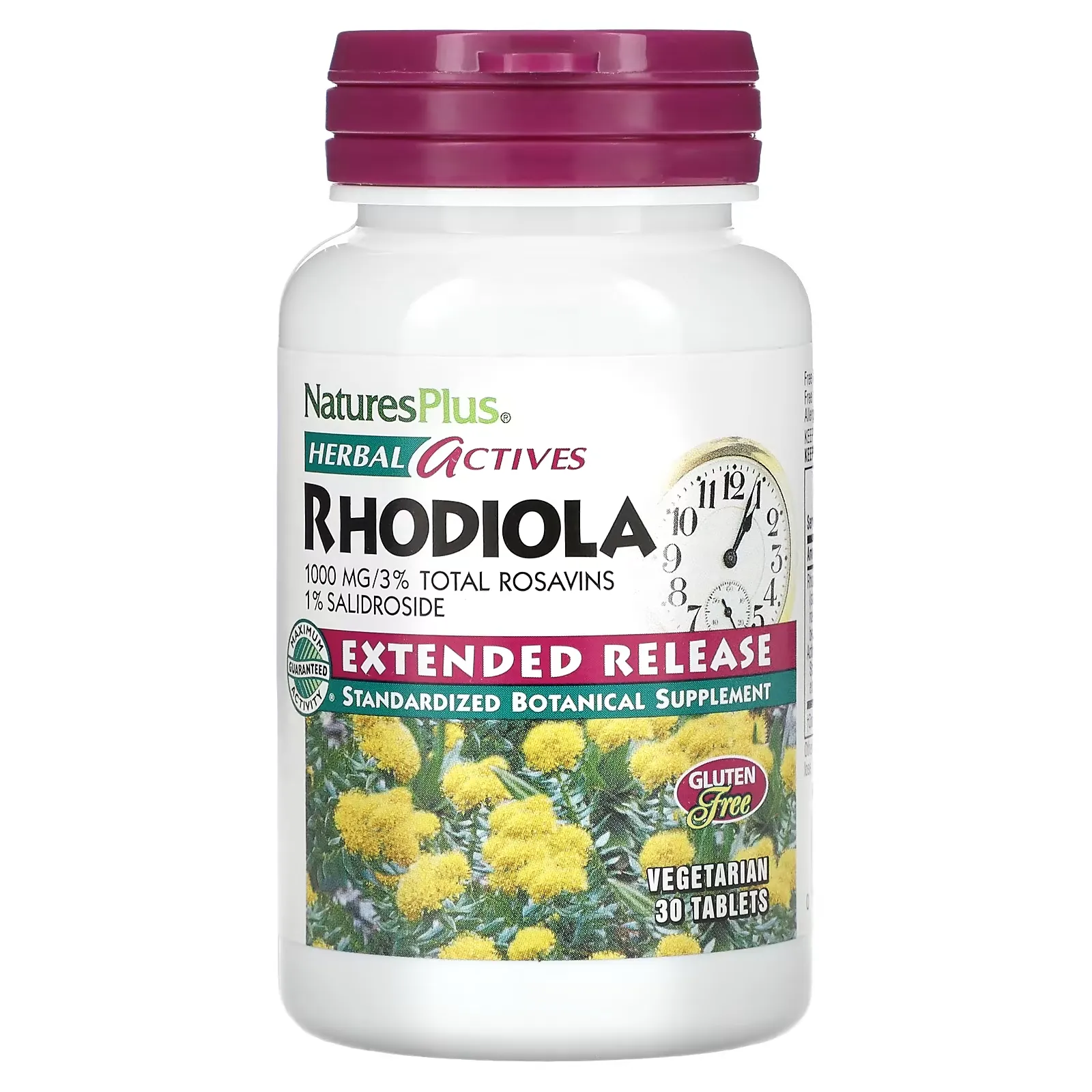 Herbal Actives, Rhodiola, Extended Release, 1,000 mg, 30 Vegetarian Tablets