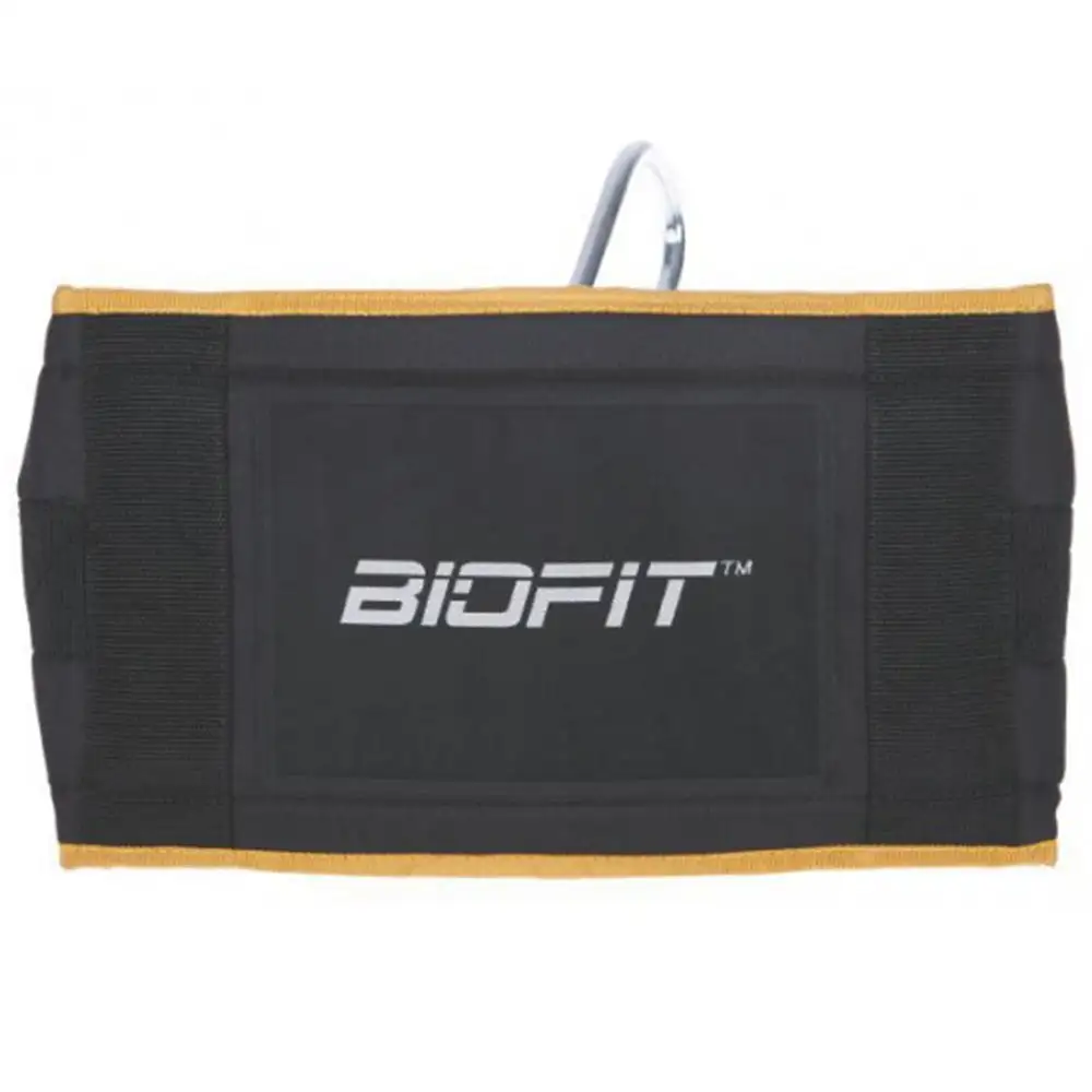 Biofit Ab Straps (1310),  Black  Free Size