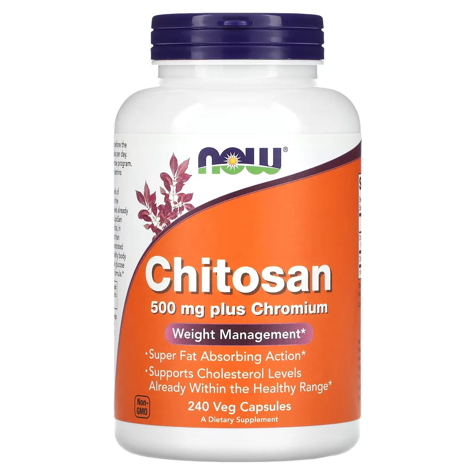 Chitosan, 500 mg, 240 Veg Capsules