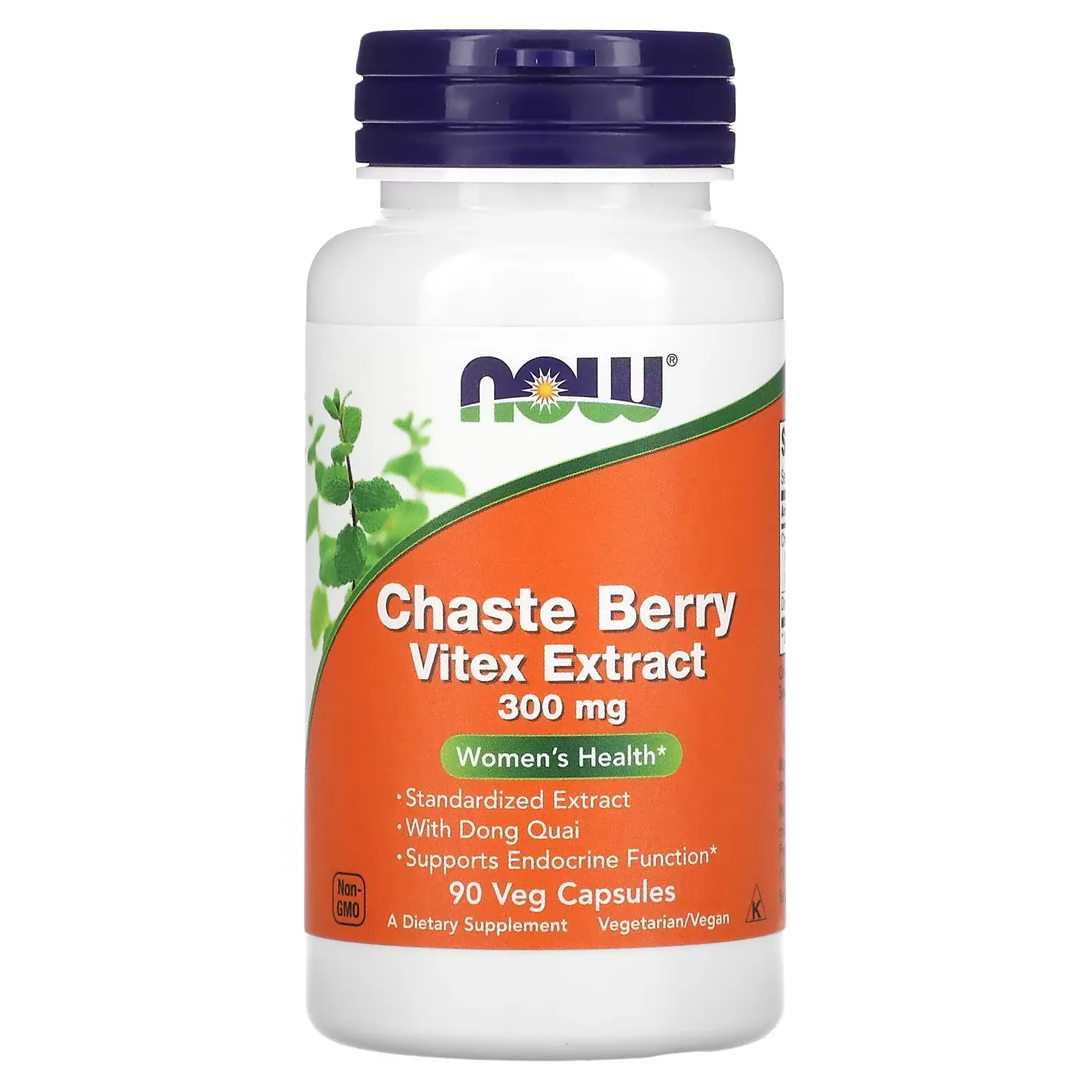 Chaste Berry Vitex Extract, 300 mg, 90 Veg Capsules