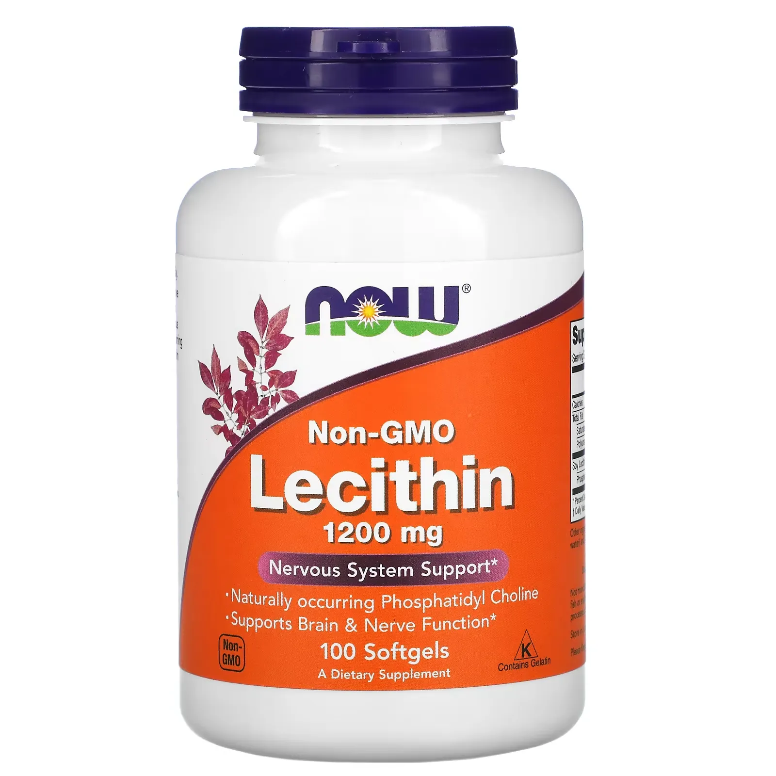 Lecithin, 1200 mg, 100 Softgels