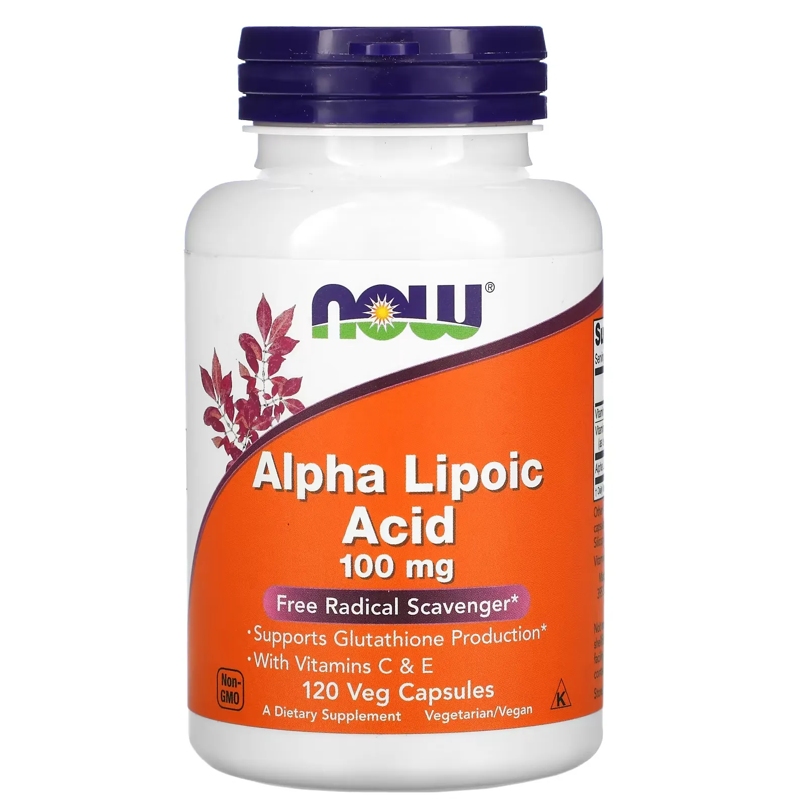 Alpha Lipoic Acid, 100 mg, 120 Veg Capsules