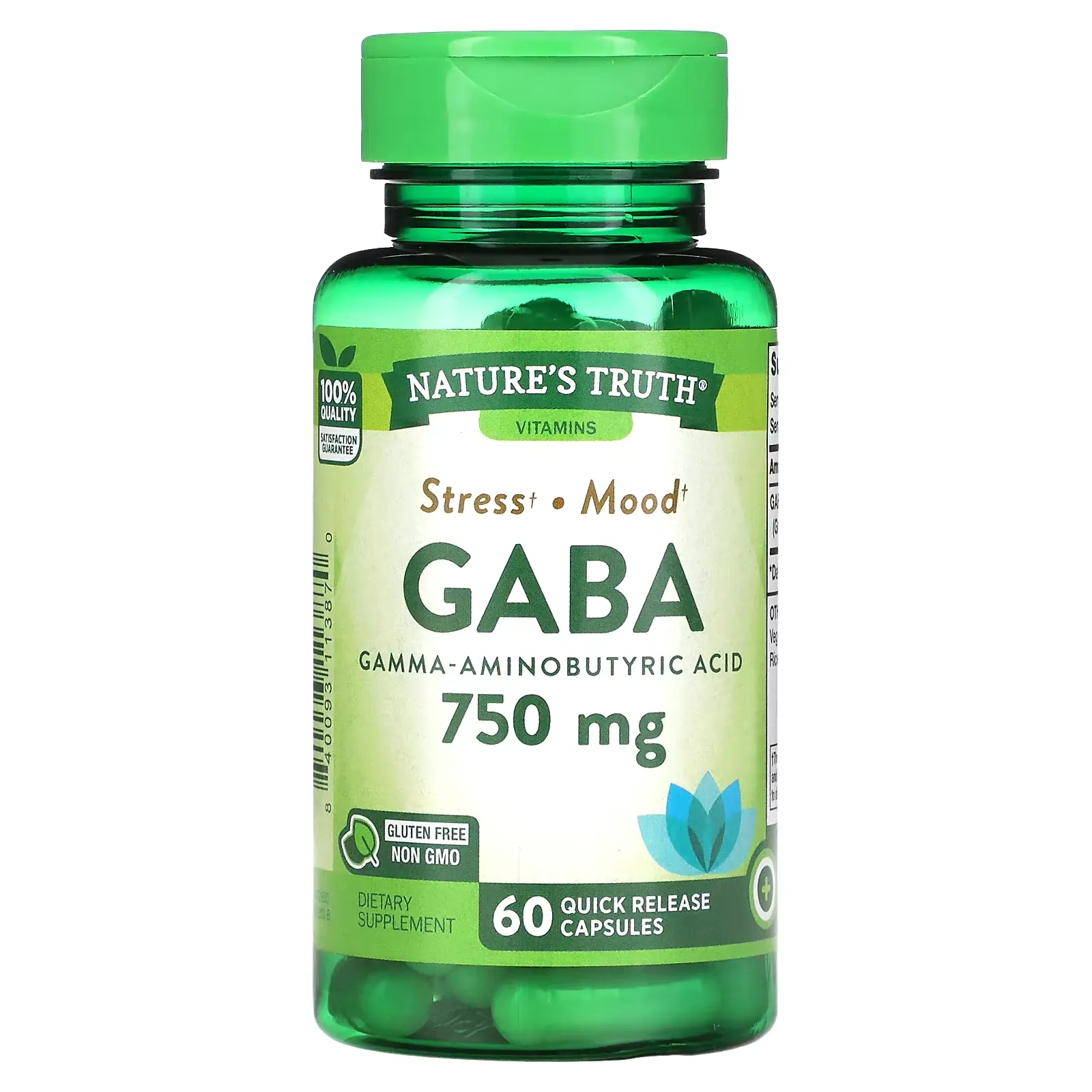 Gaba, Gamma Aminobutyric Acid, 750 mg, 60 Quick Release Capsules