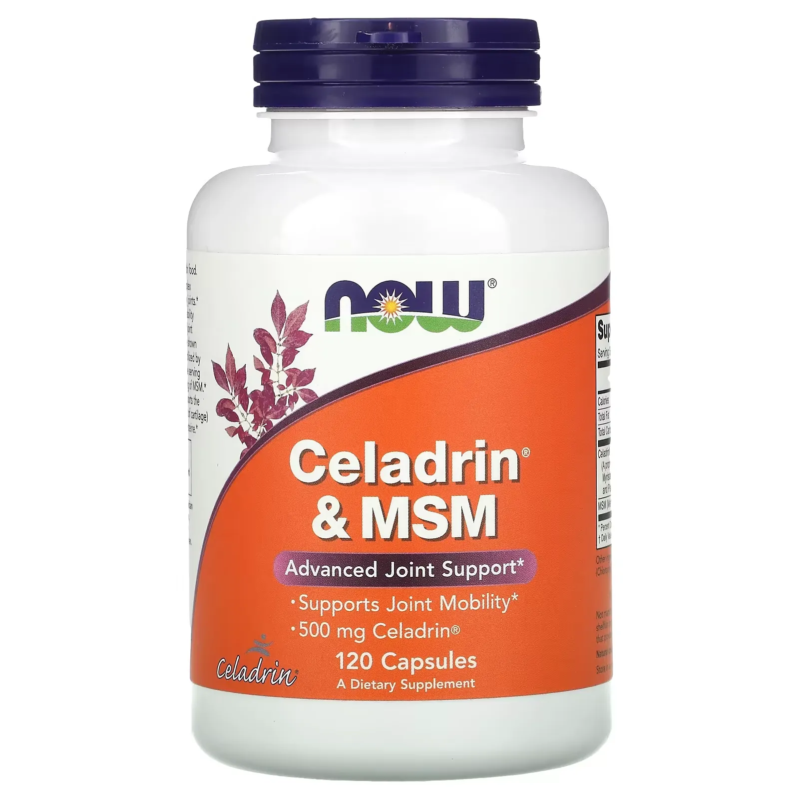 Celadrin & MSM, 120 Capsules