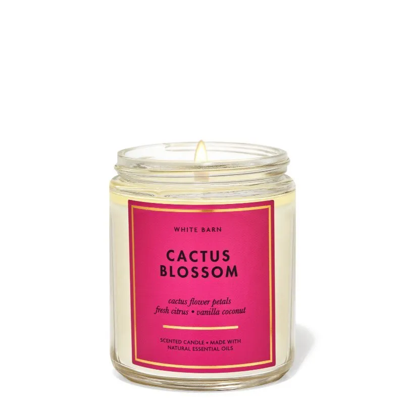 Bath & Body Works Cactus Blossom Single Wick Candle