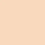 855 - Neutral Beige