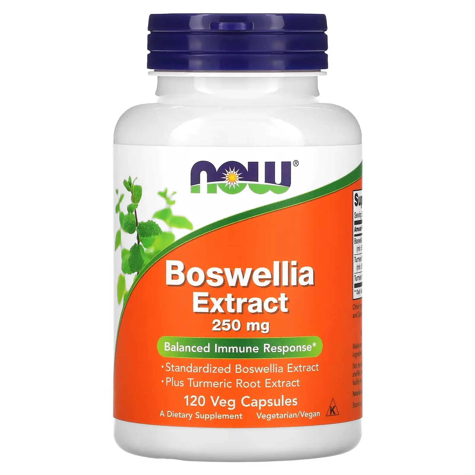 Boswellia Extract, 250 mg, 120 Veg Capsules