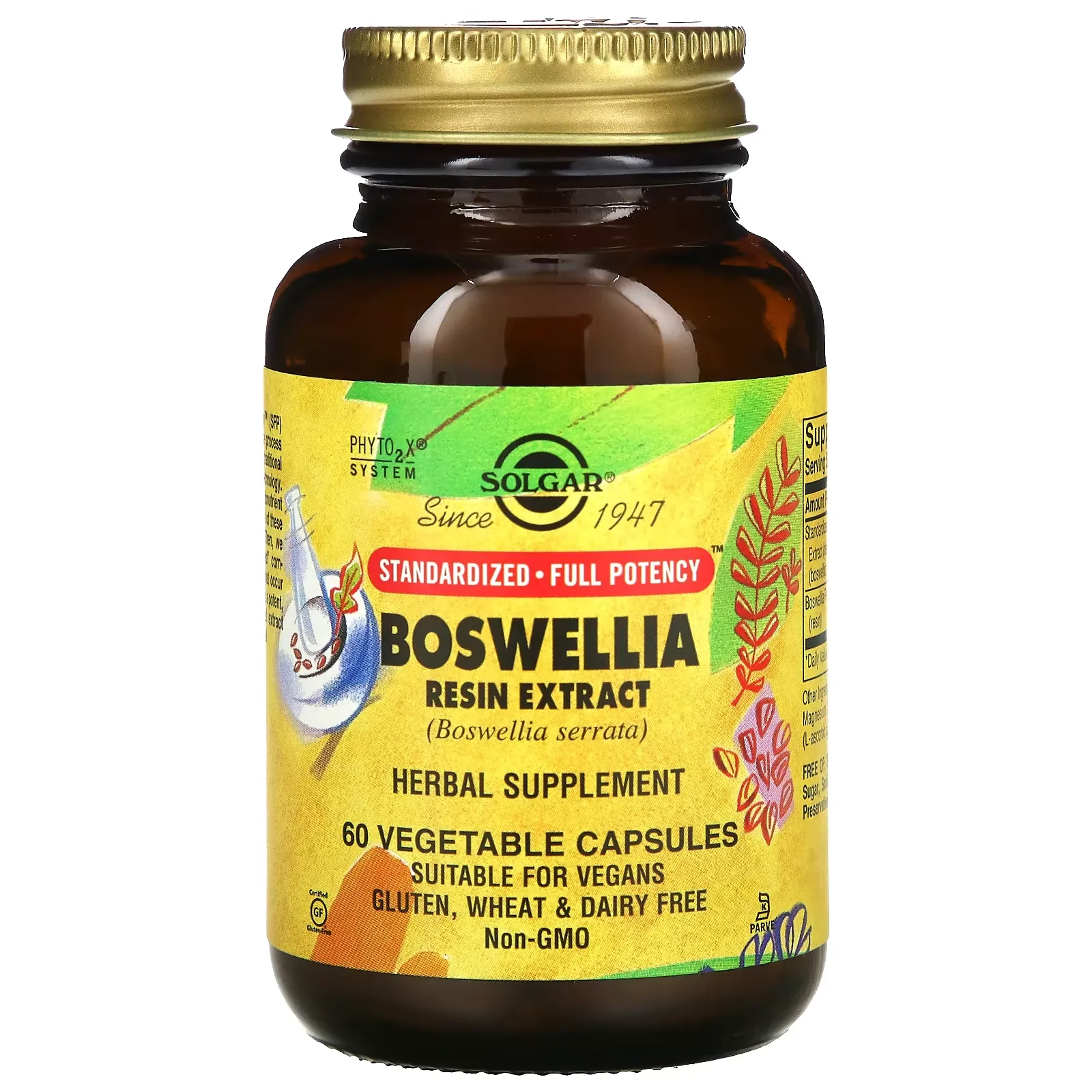 Boswellia Resin Extract, 60 Vegetable Capsules