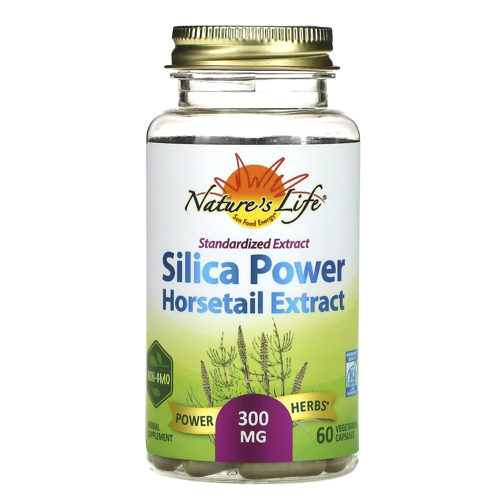 Standardized Extract Silica-Power , 300 mg, 60 Vegetarian Capsules