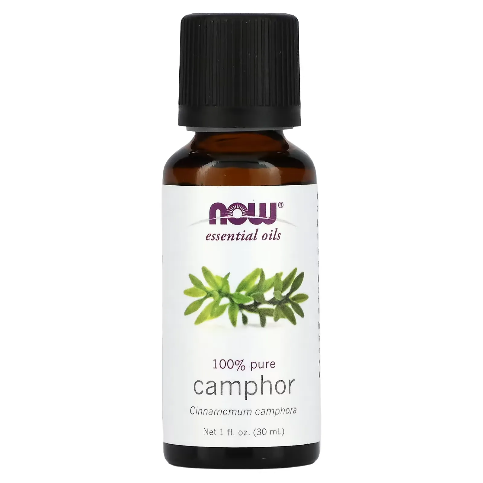 Essential Oils, Camphor, 1 fl oz (30 ml)