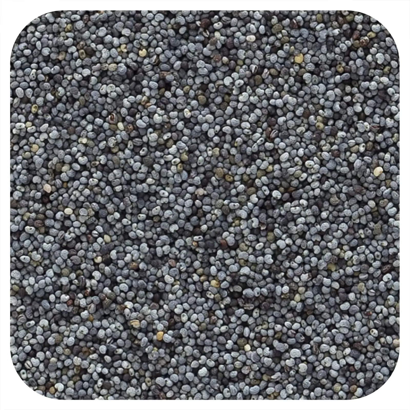 Organic Whole Poppy Seed, 16 oz (453 g)