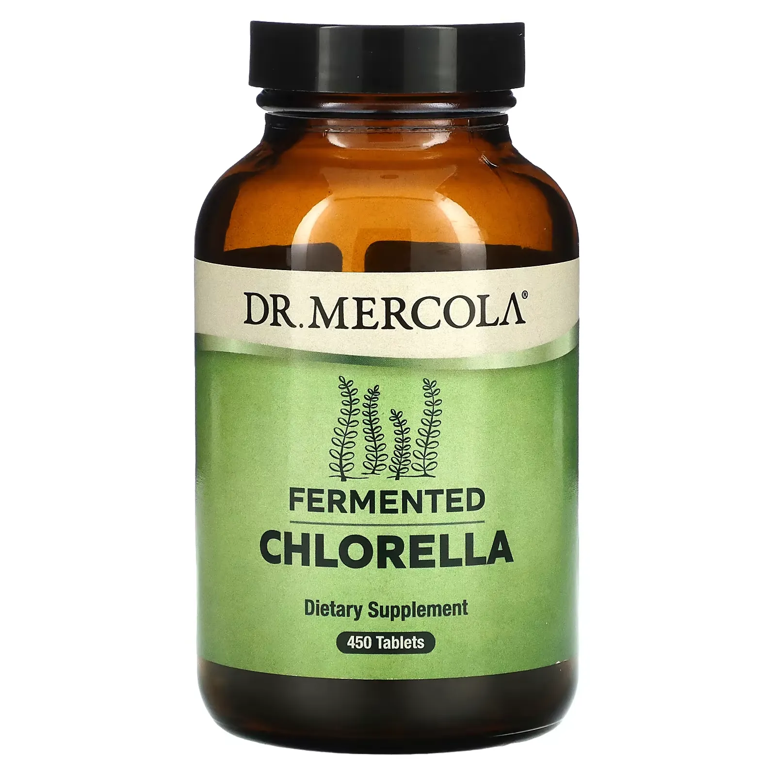 Fermented Chlorella, 450 Tablets