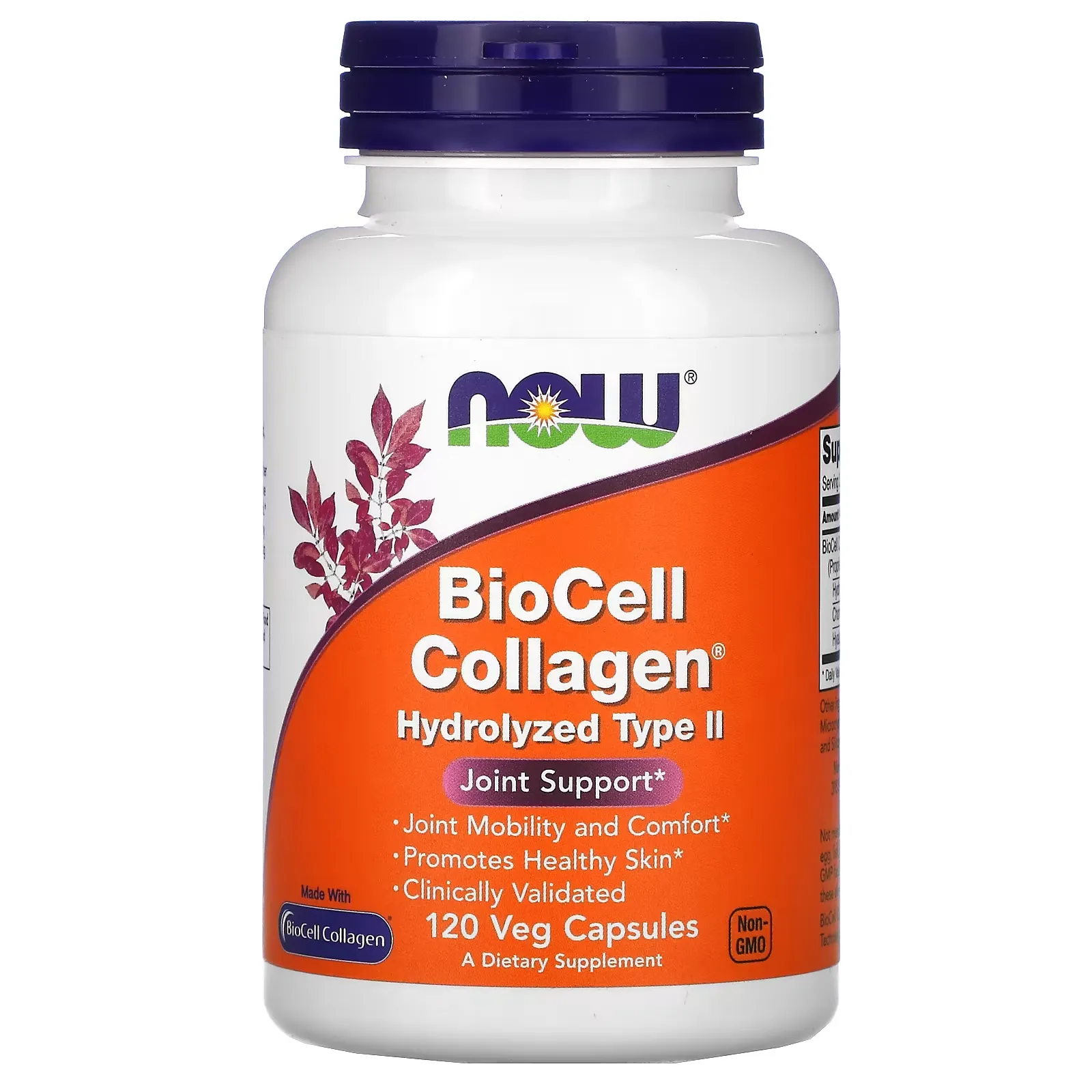 BioCell Collagen, Hydrolyzed Type II, 120 Veg Capsules